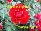 ֹ,ʡ󷨵ӹףʦ(22)
