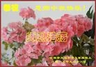ֹ,д󷨵ӹףʦ(27)
