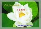 法轮功,河北大法弟子恭祝师尊中秋好(24条)
