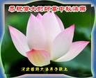 ֹ,ӱ󷨵ӹףʦ(24)
