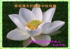 ֹ,ӱ󷨵ӹףʦ(24)
