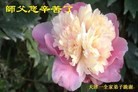ֹ,󷨵ӹףʦ(22)
