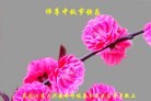 ֹ,󷨵ӹףʦ(25)
