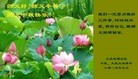 ֹ,󷨵ӹףʦ(22)
