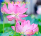 Published on 9/26/2015 ���ֹ�,����ҵ�󷨵��ӹ�ףʦ�������
