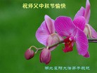 ֹ,󷨵ӹףʦ(25)
