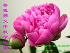 法轮功,辽宁大法弟子恭祝师尊中秋好(20条)
