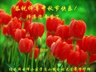 法轮功,佳木斯大法弟子恭祝师尊中秋好(21条)
