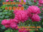 ֹ,ľ˹󷨵ӹףʦ(25)

