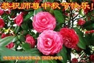 ֹ,󷨵ӹףʦ(21)
