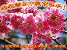ֹ,󷨵ӹףʦ(21)
