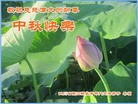 Published on 9/27/2015 ���ֹ�,����ϵͳ�󷨵��ӹ�ףʦ�������(22��)
