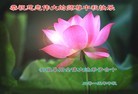 ֹ,մ󷨵ӹףʦ(26)
