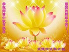ֹ,ӱ󷨵ӹףʦ(23)
