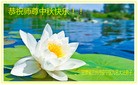 ֹ,󷨵ӹףʦ(26)
