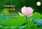 ֹ,մ󷨵ӹףʦ(24)
