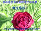 Published on 9/27/2015 ���ֹ�,��½�󷨵��ӹ�ףʦ�������(36��)
