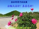Published on 9/27/2015 ���ֹ�,��½�󷨵��ӹ�ףʦ�������(36��)
