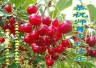 ֹ,󷨵ӹףʦ(21)
