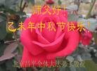 ֹ,󷨵ӹףʦ(20)
