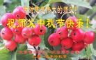 ֹ,󷨵ӹףʦ(20)
