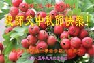 ֹ,󷨵ӹףʦ(20)
