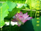 ֹ,㶫󷨵ӹףʦ(29)
