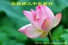 ֹ,ݴ󷨵ӹףʦ(24)
