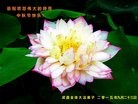 ֹ,󷨵ӹףʦ(25)
