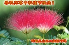 Published on 9/27/2015 ���ֹ�,��½�󷨵��ӹ�ףʦ�������(33��)
