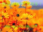 法轮功,河南大法弟子恭祝师尊中秋好(23条)
