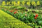 ֹ,㶫󷨵ӹףʦ(29)
