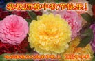 ֹ,󷨵ӹףʦ(21)
