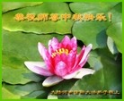 Published on 9/27/2015 ���ֹ�,��½�󷨵��ӹ�ףʦ�������(25��)
