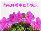 ֹ,󷨵ӹףʦ(28)
