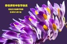 ֹ,󷨵ӹףʦ(28)
