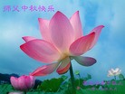 ֹ,󷨵ӹףʦ(28)
