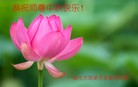 ֹ,󷨵ӹףʦ(28)
