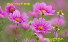 ֹ,󷨵ӹףʦ(28)
