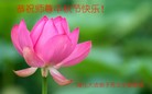 ֹ,󷨵ӹףʦ(19)
