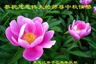 ֹ,󷨵ӹףʦ(19)
