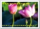 ֹ,󷨵ӹףʦ(19)
