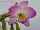ֹ,󷨵ӹףʦ(19)
