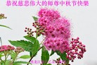 ֹ,󷨵ӹףʦ(19)
