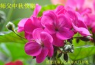 ֹ,󷨵ӹףʦ(19)
