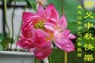 ֹ,󷨵ӹףʦ(19)
