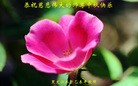 ֹ,󷨵ӹףʦ(19)
