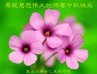 ֹ,󷨵ӹףʦ(19)
