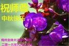 ֹ,㶫󷨵ӹףʦ(26)
