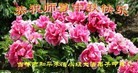ֹ,д󷨵ӹףʦ(27)

